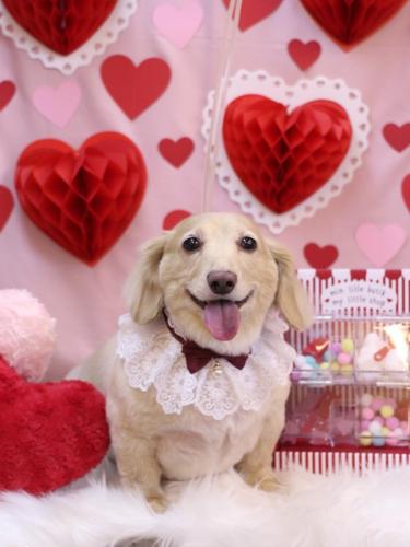 20240202テヤンくん